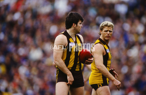 AFL 1991 Grand Final - Hawthorn v West Coast - 23177