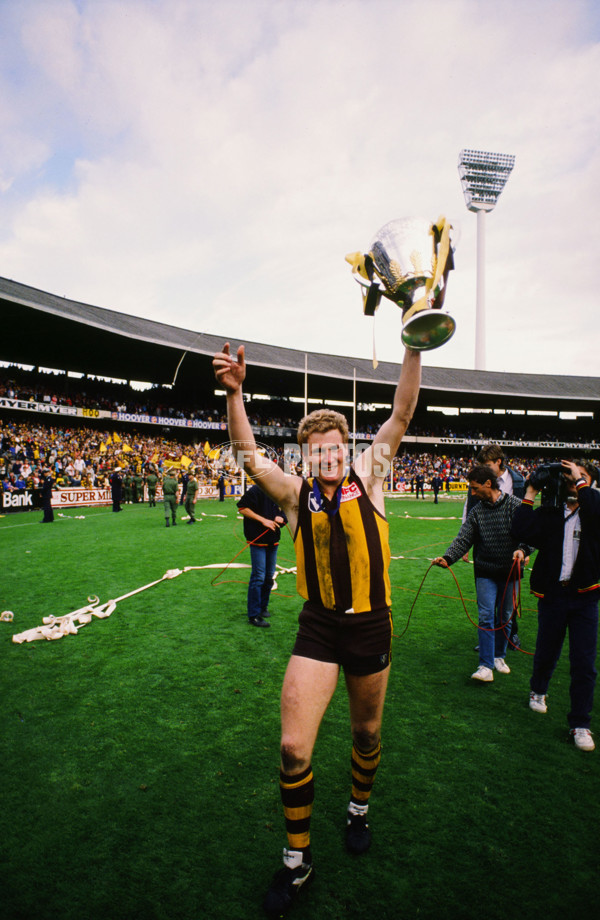 VFL 1988 Grand Final - Hawthorn v Melbourne - 23209