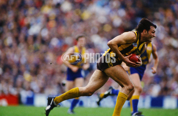 AFL 1991 Grand Final - Hawthorn v West Coast - 23231