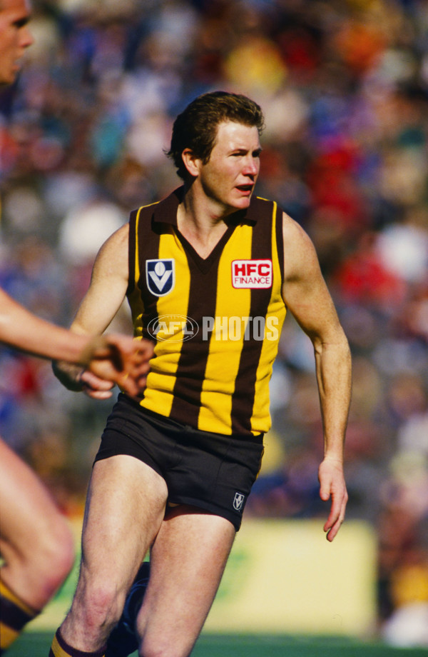 VFL 1980's - Hawthorn Hawks - 23203