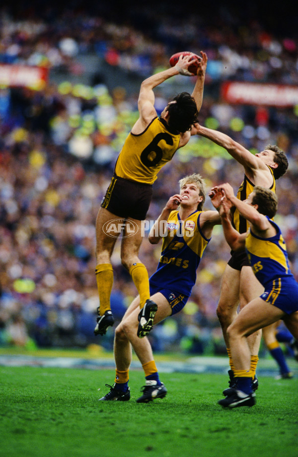 AFL 1991 Grand Final - Hawthorn v West Coast - 23230