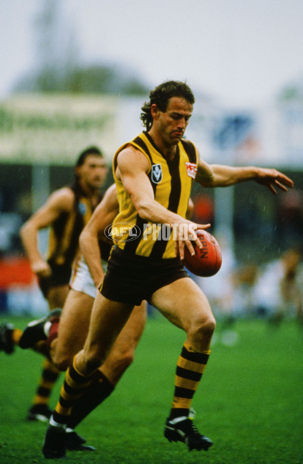 VFL 1980's - Hawthorn Hawks - 23239