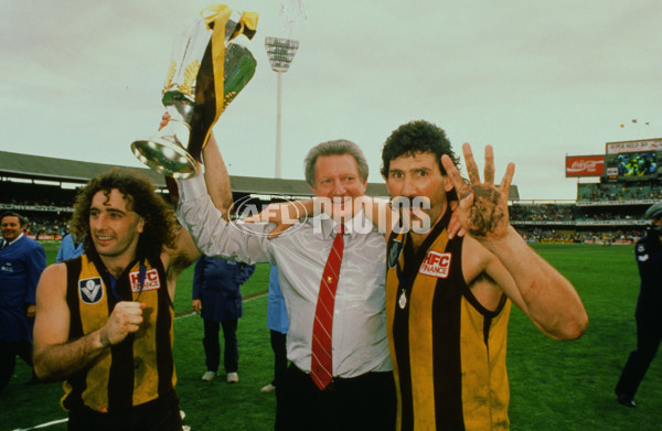 VFL 1988 Grand Final - Hawthorn v Melbourne - 23271