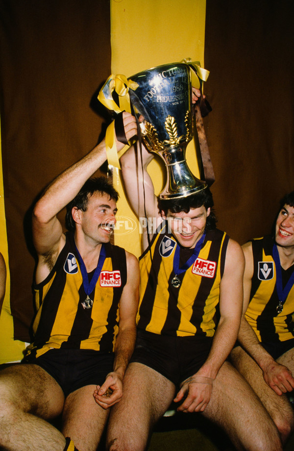 VFL 1988 Grand Final - Hawthorn v Melbourne - 23273