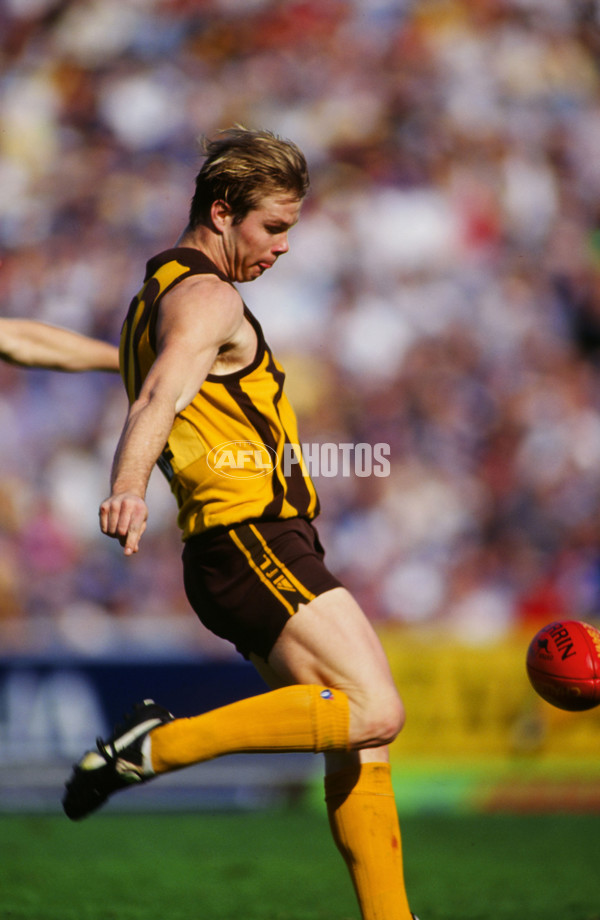 AFL 1994 2nd Qualifying Final - North Melbourne v Hawthorn - 23267