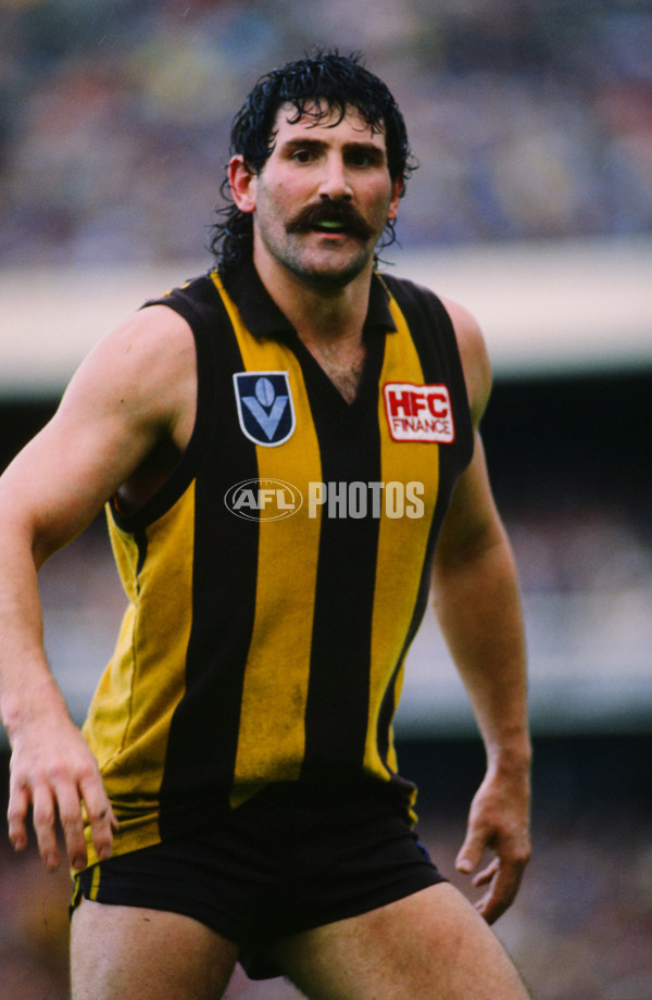 VFL 1988 Grand Final - Hawthorn v Melbourne - 23274