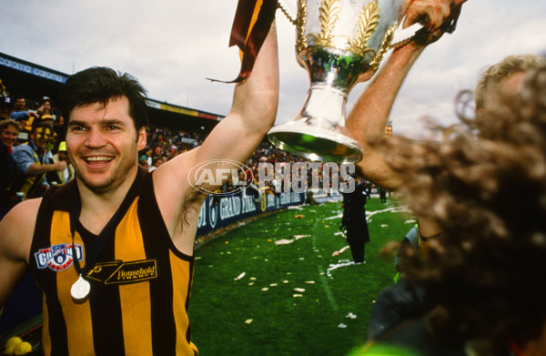 AFL 1991 Grand Final - Hawthorn v West Coast - 23297