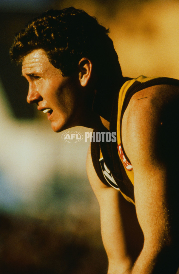 VFL 1980's - Hawthorn Hawks - 23202