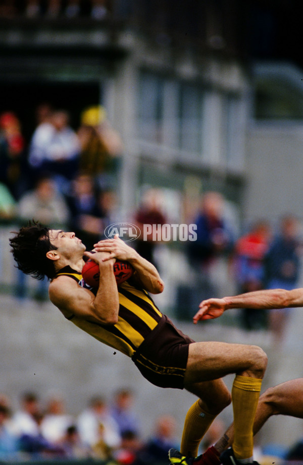 AFL 1993 Round 22 - Brisbane v Hawthorn - 23235