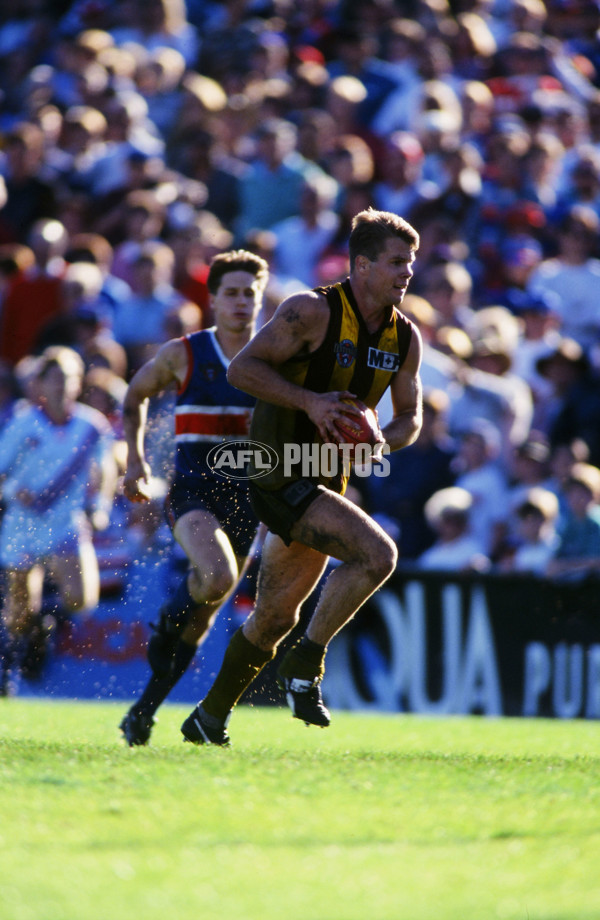 AFL 1996 Round 4 - Hawthorn v Footscray - 23265