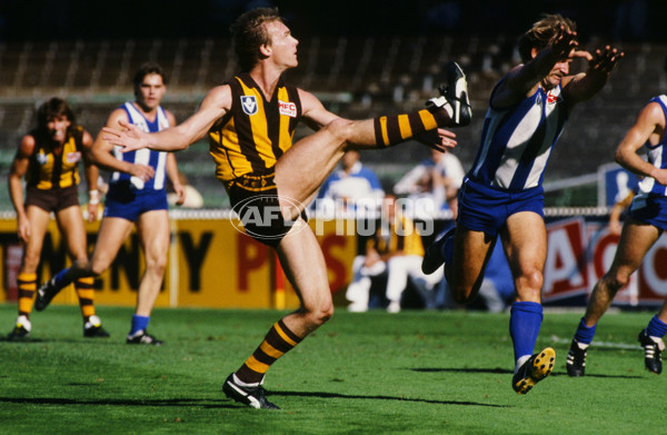 VFL 1989 Grand Final - Hawthorn v Geelong - 23286