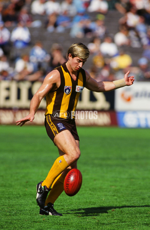 AFL 1994 2nd Qualifying Final - North Melbourne v Hawthorn - 23261