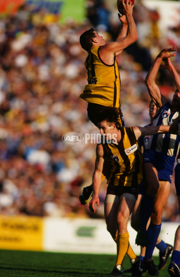 AFL 1994 2nd Qualifying Final - North Melbourne v Hawthorn - 23255