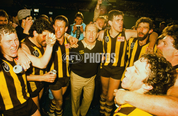 VFL 1980's - Hawthorn Hawks - 23333