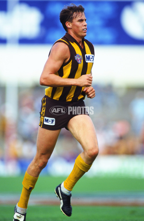 AFL 1996 Round 1 - Hawthorn v Fitzroy - 23374