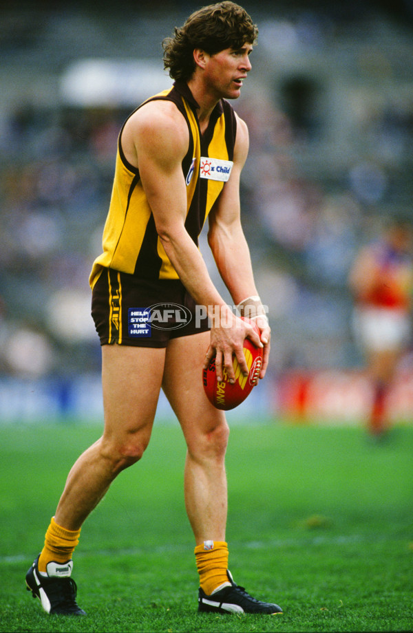 AFL 1994 Round 13 - Fitzroy v Hawthorn - 23347