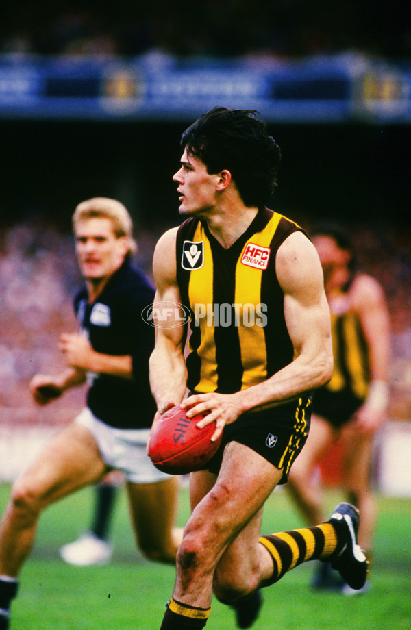 VFL 1987 - Carlton v Hawthorn - 23380