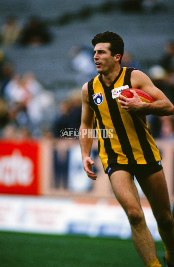AFL 1994 Round 13 - Fitzroy v Hawthorn - 23409