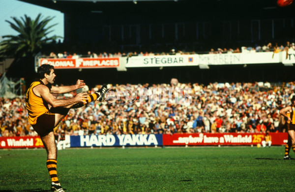VFL 1980's - Hawthorn Hawks - 23436