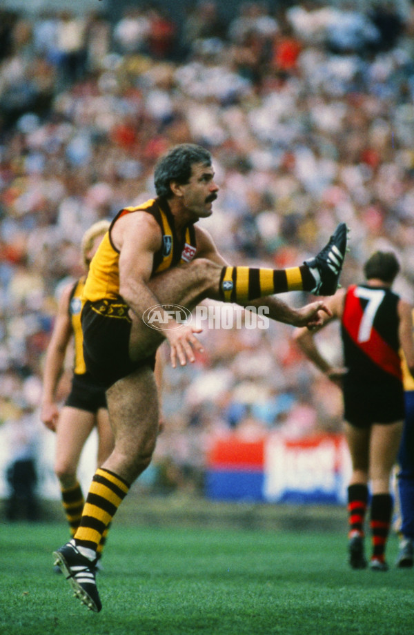 VFL 1980's - Hawthorn v Essendon - 23435