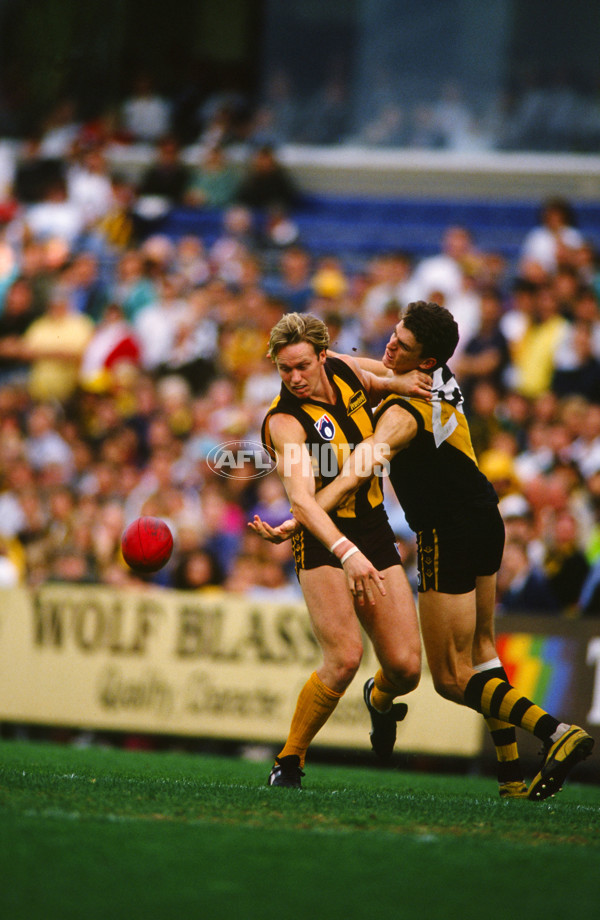 AFL 1990 - Hawthorn v Richmond - 23449