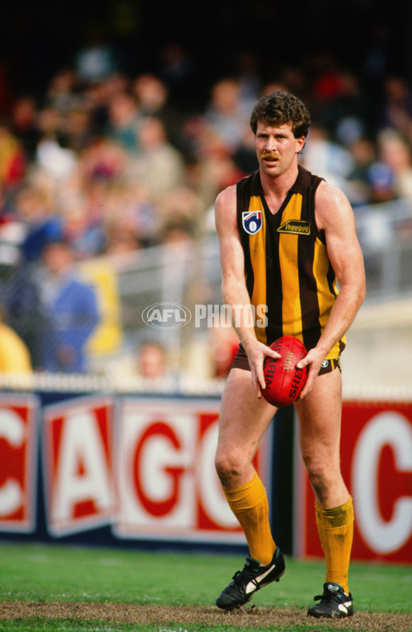 AFL 1991 - Hawthorn Hawks - 23466