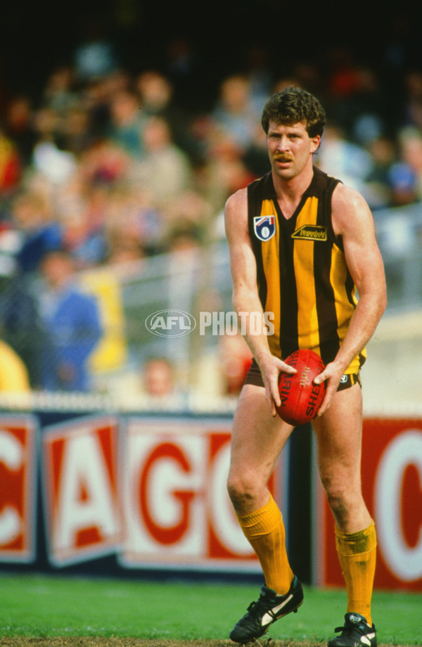 AFL 1991 - Hawthorn Hawks - 23461