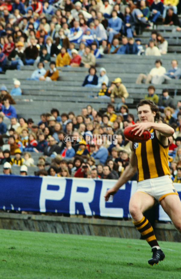 VFL 1970's - Hawthorn Hawks - 23460