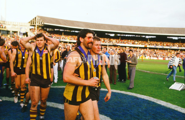 VFL 1986 Grand Final - Hawthorn v Carlton - 23336