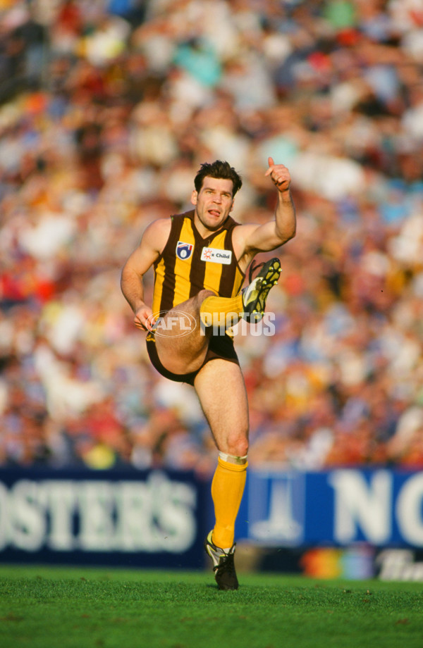 AFL 1994 2nd Qualifying Final - North Melbourne v Hawthorn - 23322