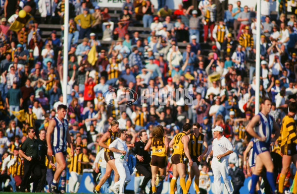 AFL 1994 2nd Qualifying Final - North Melbourne v Hawthorn - 23316