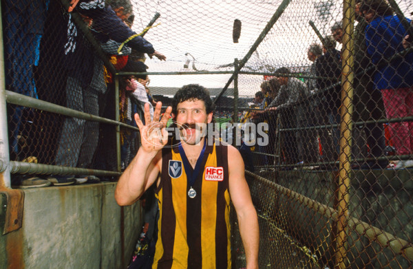 VFL 1988 Grand Final - Hawthorn v Melbourne - 23330