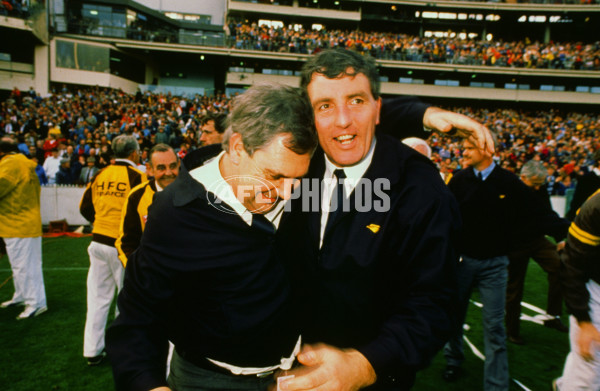 VFL 1988 Grand Final - Hawthorn v Melbourne - 23364