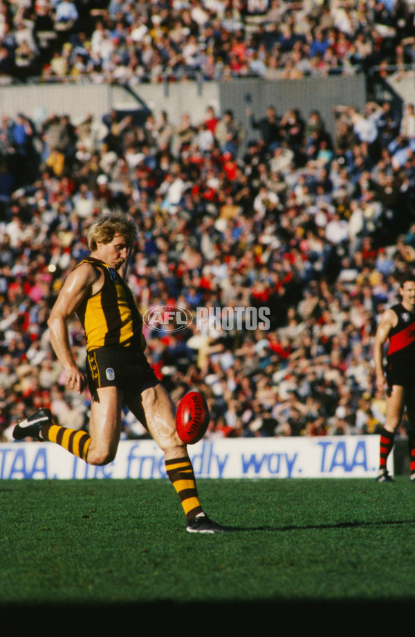VFL 1980's - Hawthorn v Essendon - 23384