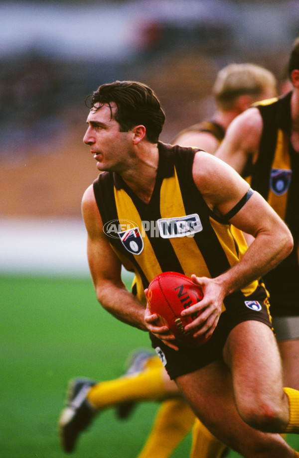 AFL 1995 Round 8 - Melbourne v Hawthorn - 23420