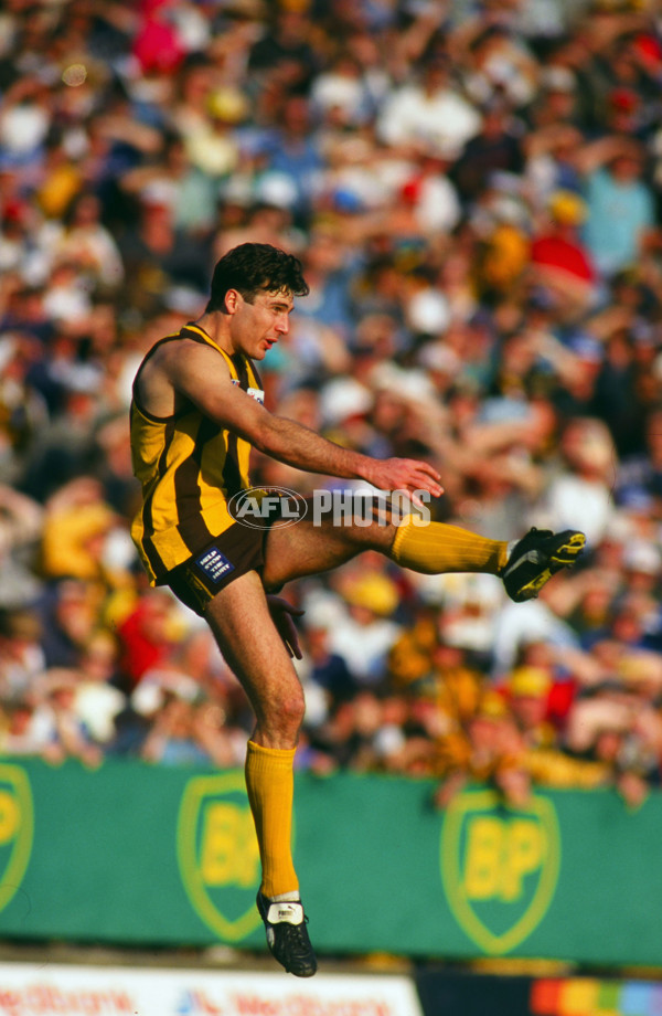 AFL 1994 2nd Qualifying Final - North Melbourne v Hawthorn - 23418