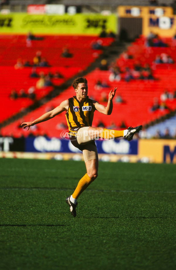 AFL 1995 Round 15 - Hawthorn v Fremantle - 23443
