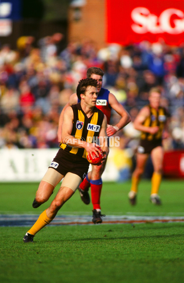 AFL 1995 - Hawthorn v Fitzroy - 23438