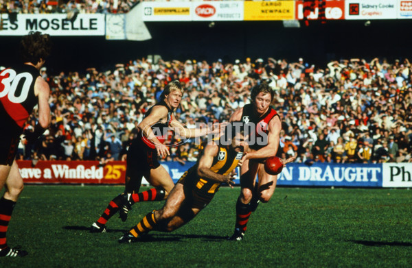 VFL 1980's - Hawthorn v Essendon - 23431