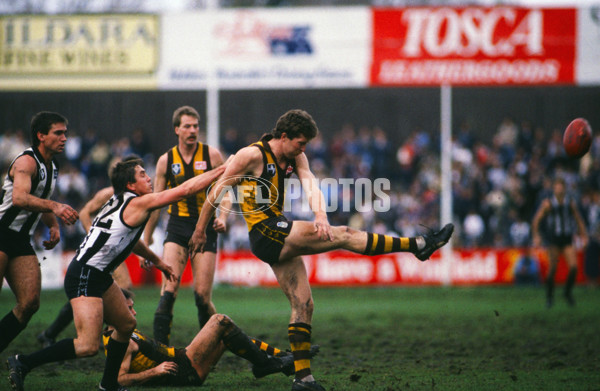 VFL 1985 - Collingwood v Hawthorn - 23456