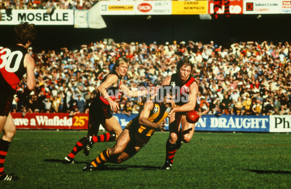 VFL 1980's - Hawthorn v Essendon - 23445