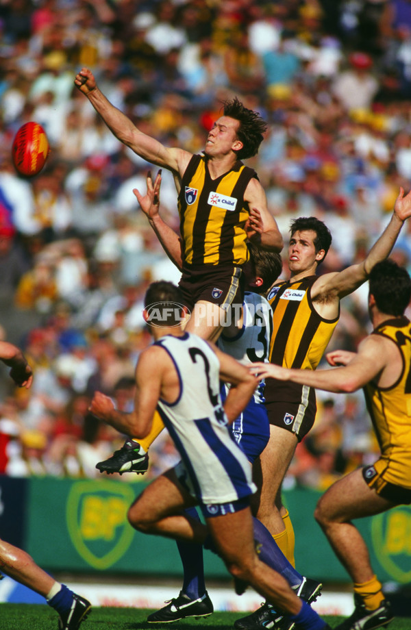 AFL 1994 2nd Qualifying Final - North Melbourne v Hawthorn - 23448