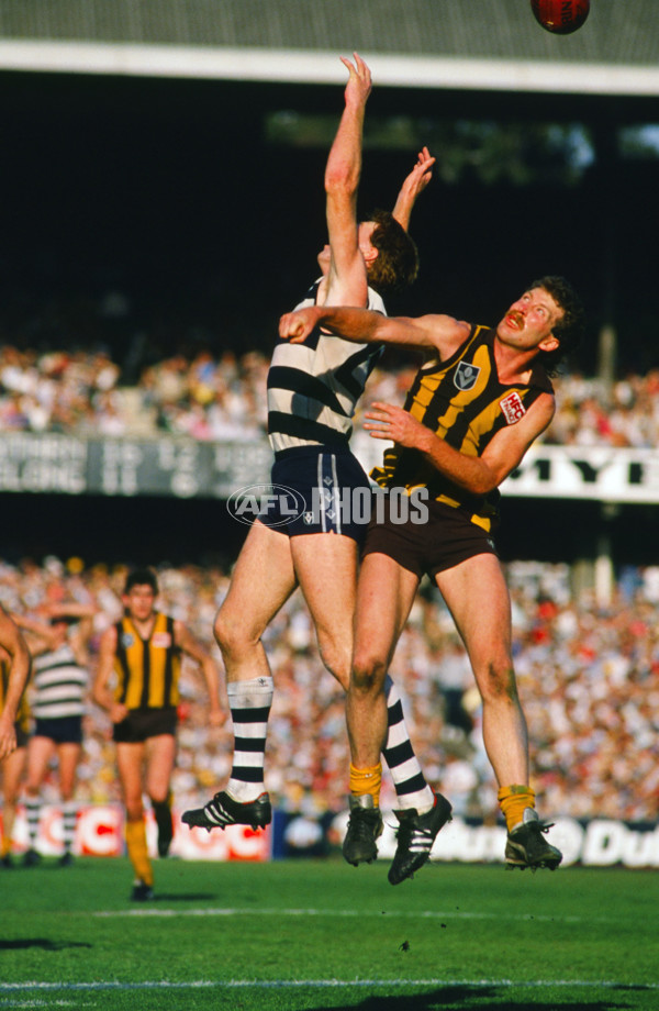 VFL 1980's - Hawthorn v Geelong - 23452