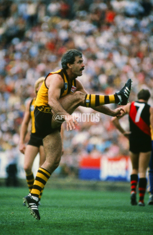VFL 1980's - Hawthorn v Essendon - 23463