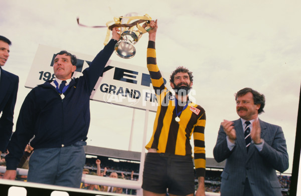 VFL 1988 Grand Final - Hawthorn v Melbourne - 23515