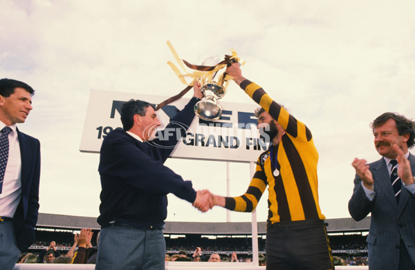 VFL 1988 Grand Final - Hawthorn v Melbourne - 23509