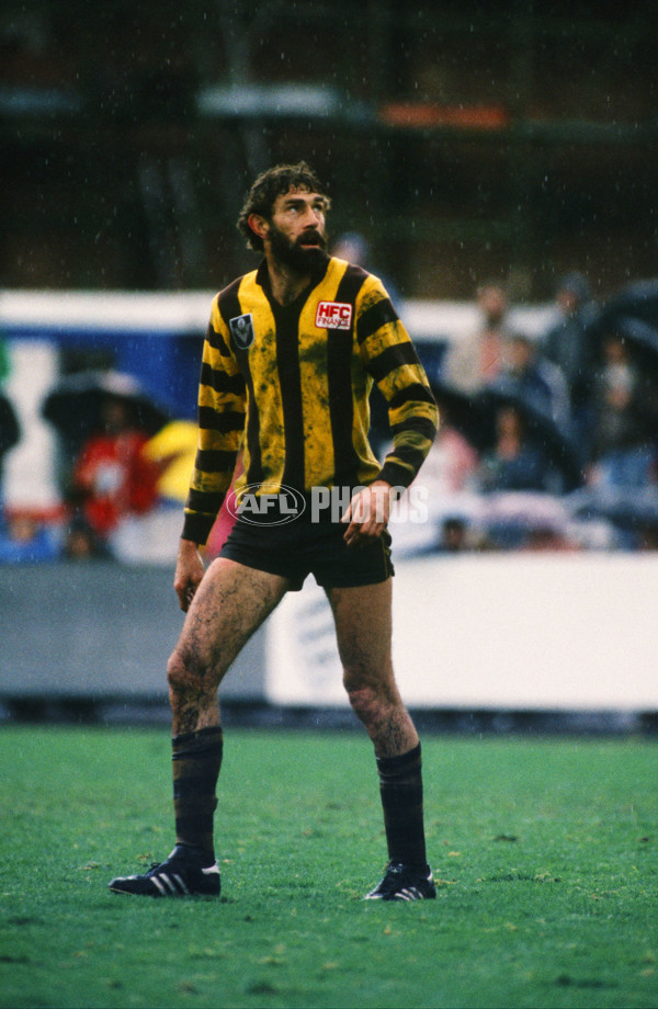 VFL 1980's - Hawthorn Hawks - 23530