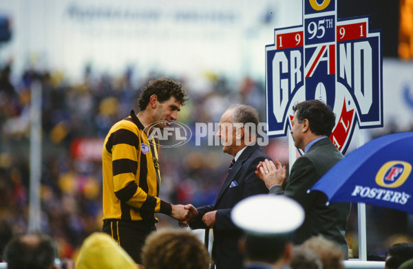 AFL 1991 Grand Final - Hawthorn v West Coast - 23539