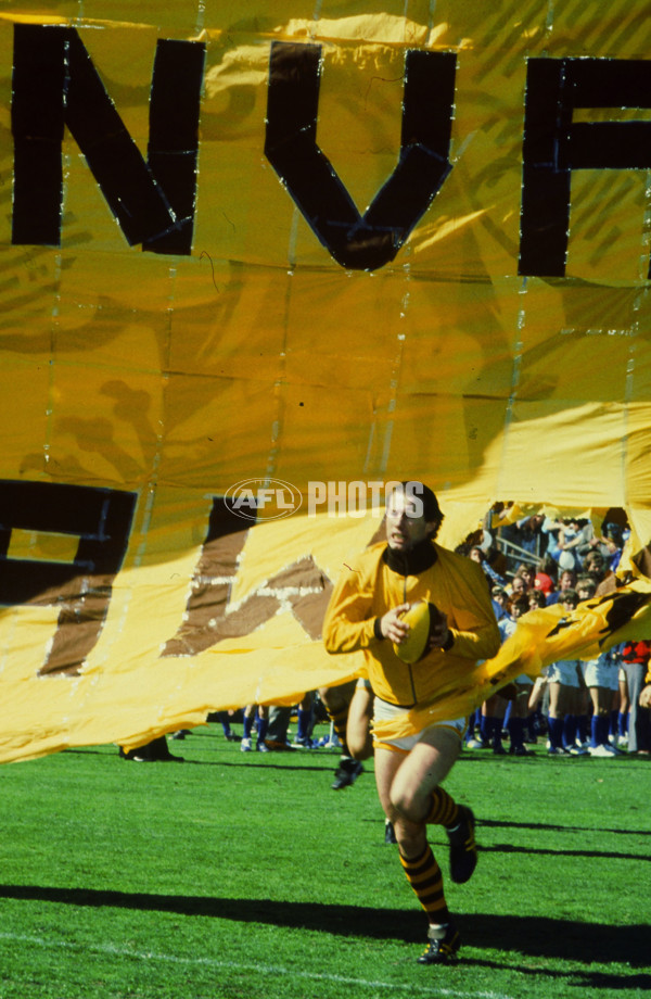 VFL 1980's - Hawthorn Hawks - 23545