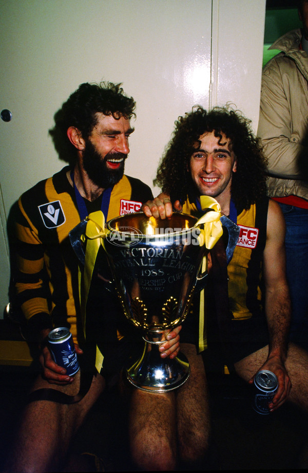 VFL 1988 Grand Final - Hawthorn v Melbourne - 23569